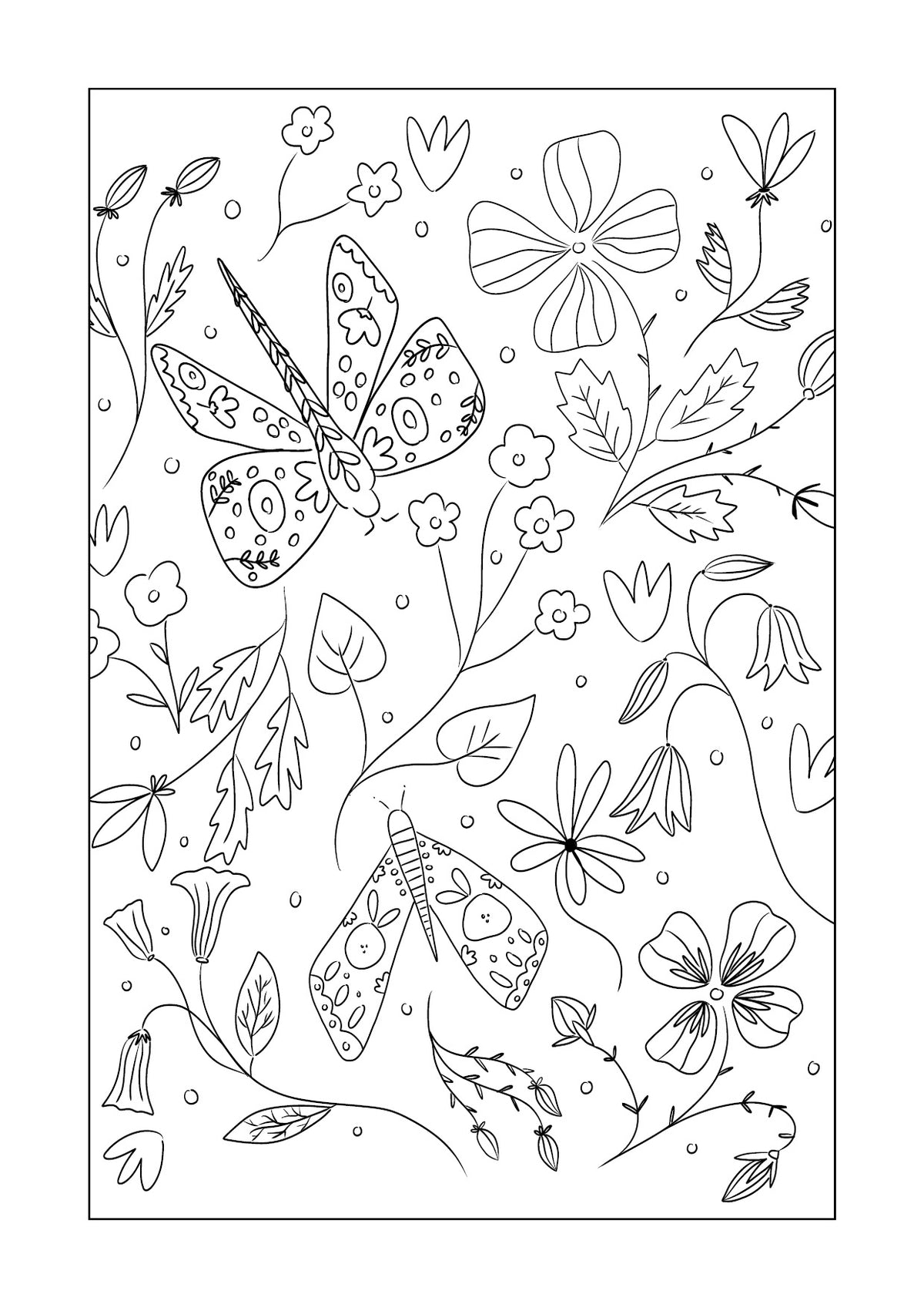 Parenthèse colorée – Biotopie (version numérique)