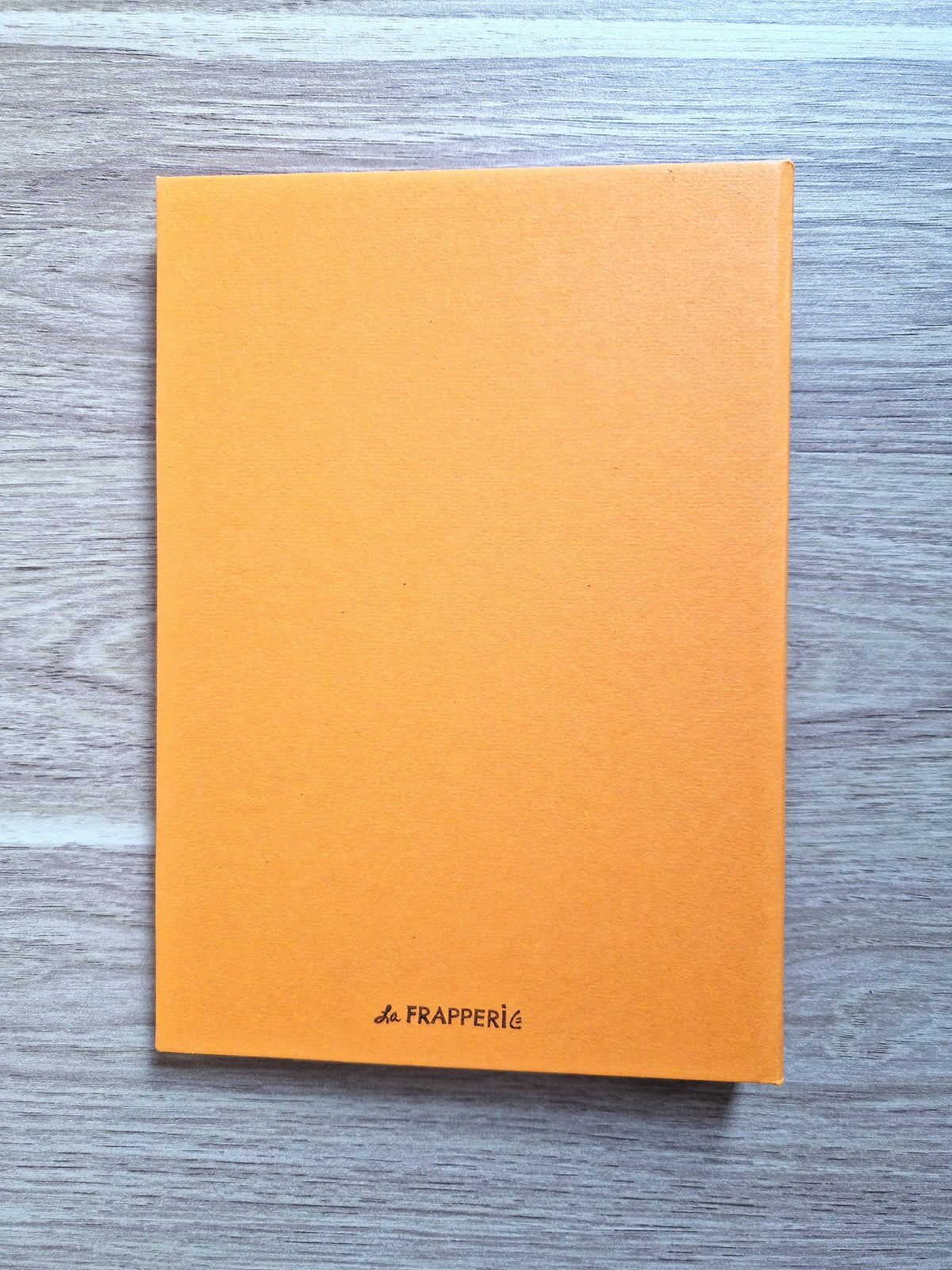 Carnet Orange – Branche d’olivier