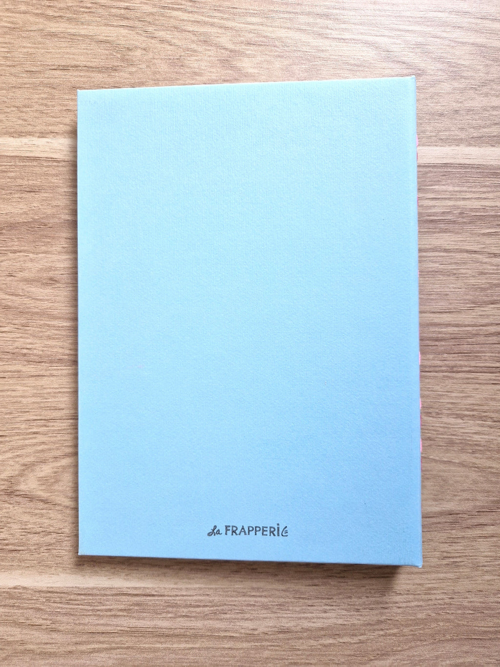 Carnet Bleu – Feuilles de ginkgo