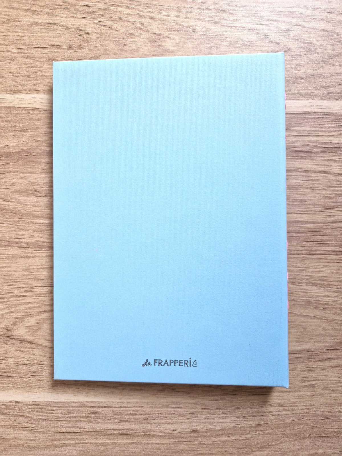 Carnet Bleu – Feuilles de ginkgo