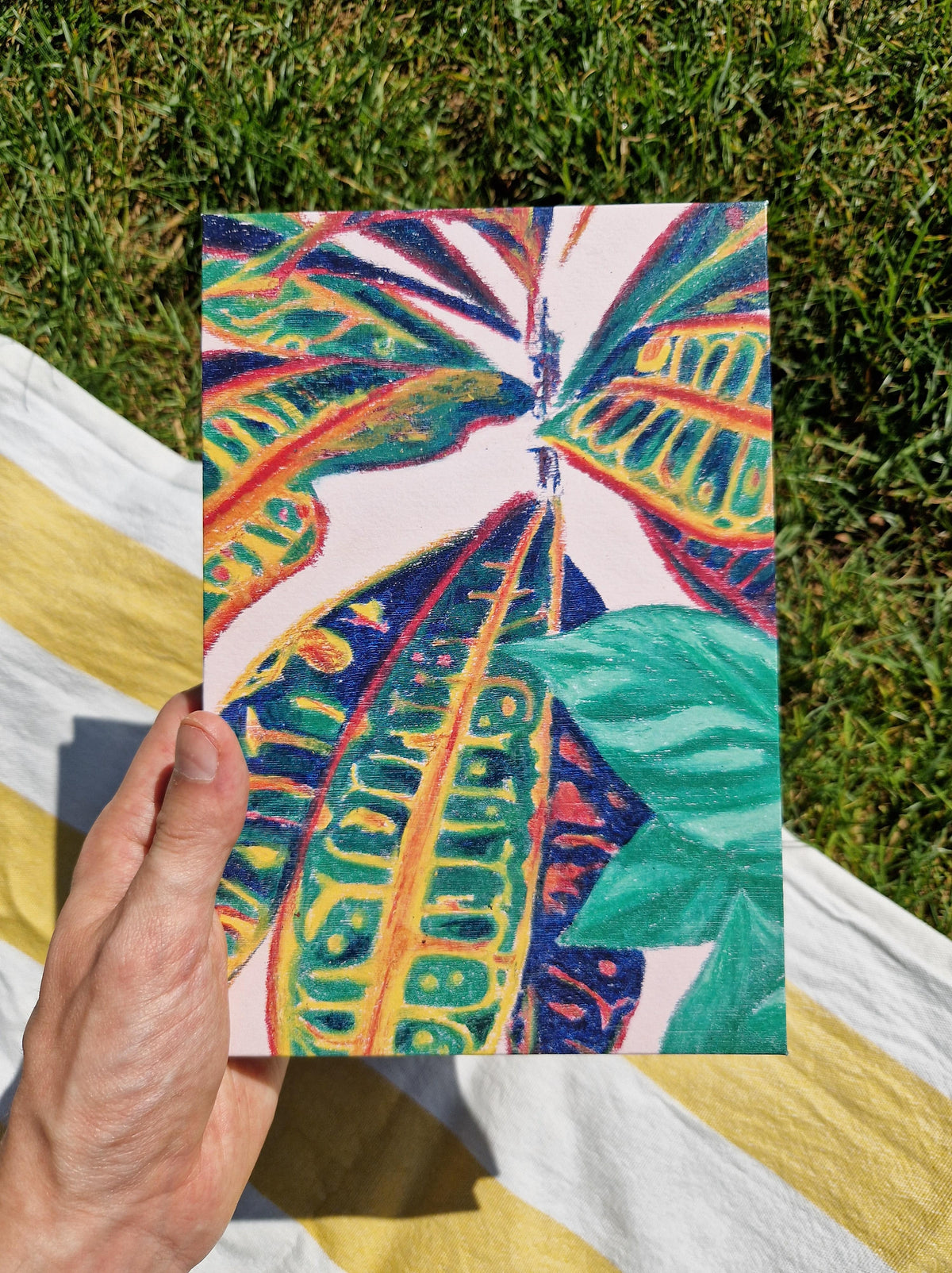 Croton & Pink Philo – Carnet accordéon A5 multi-techniques