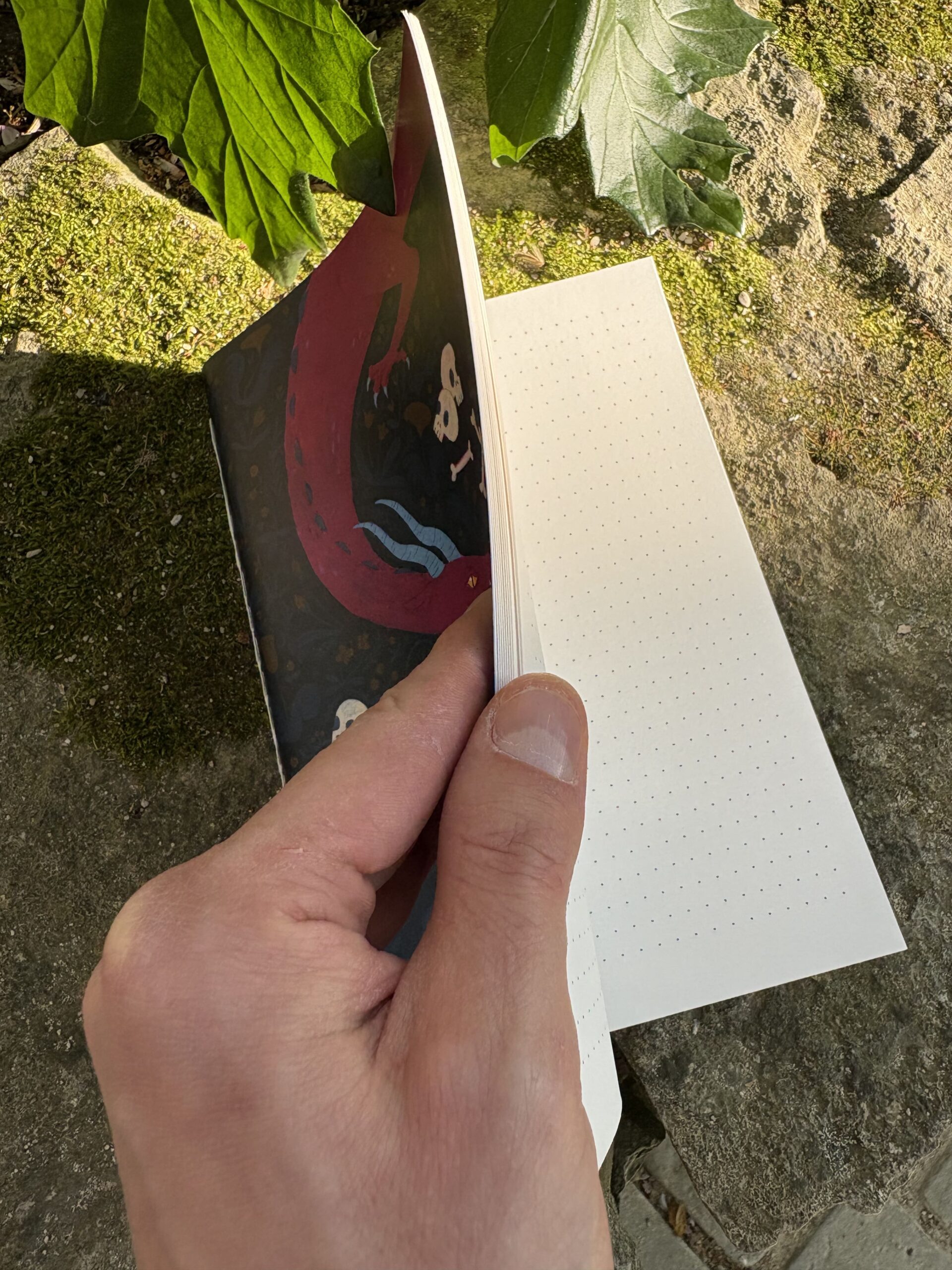 Le Gardien - carnet classique 6