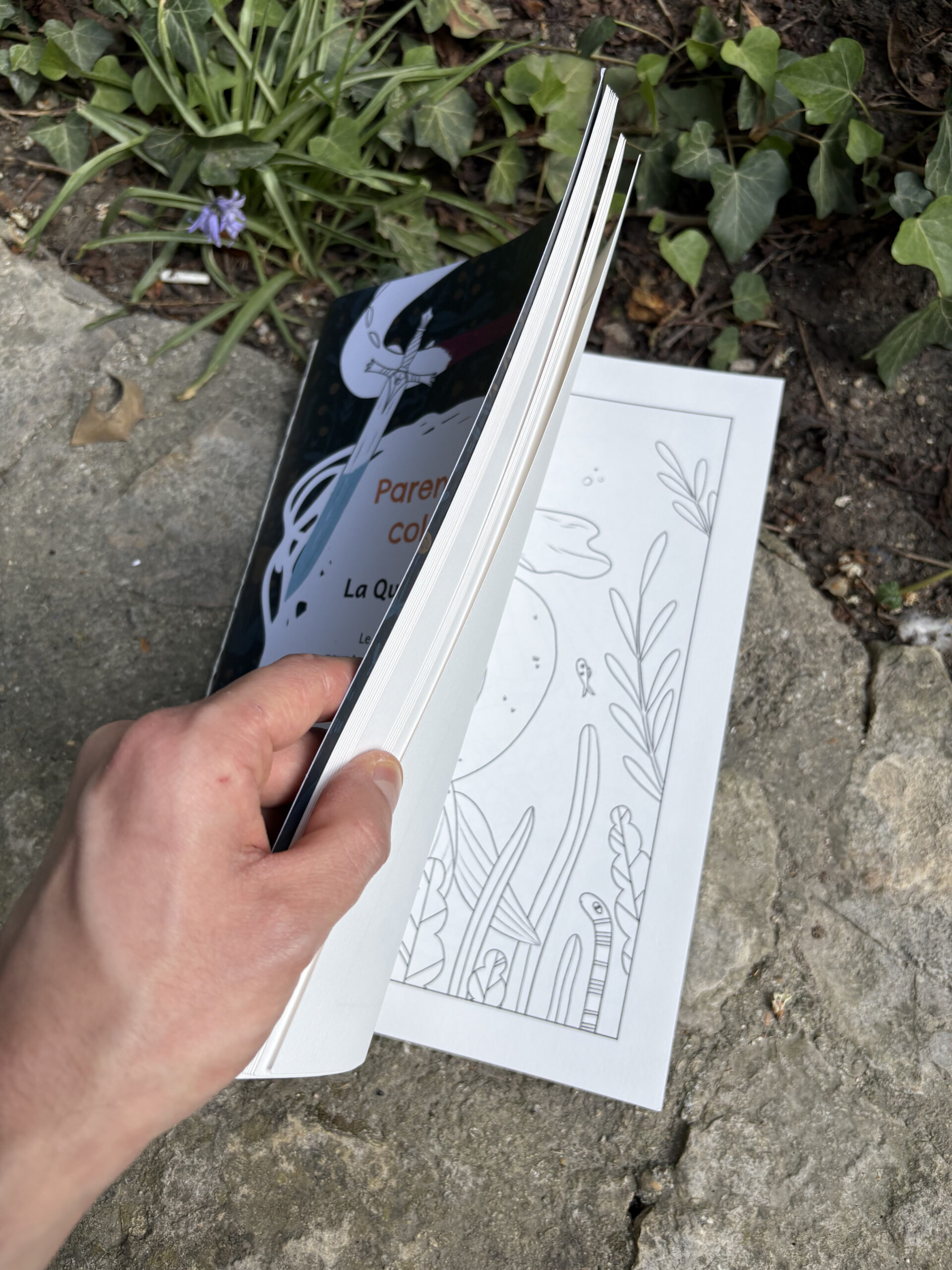Cahier de coloriage - La Quete 6